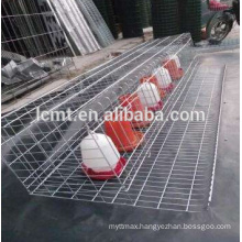 poultry H or A type 3 tier 4 tiers chicken layer battery cage